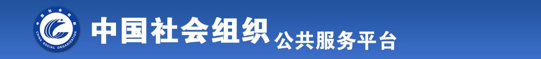 男人用大鸡巴肏美女的网站全国社会组织信息查询